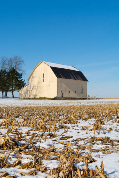 fienile nel midwest - corn snow field winter foto e immagini stock