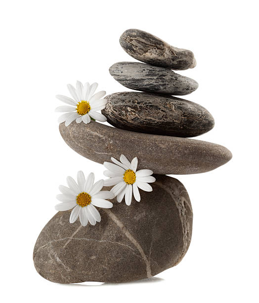 piedras equilibrado - motivation rock flower single flower fotografías e imágenes de stock