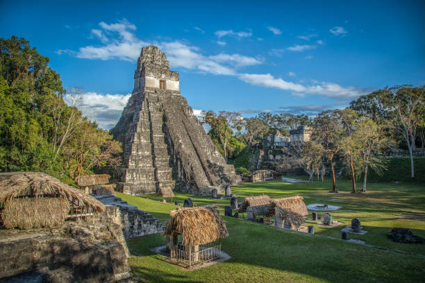 великий ягуар, тикаль, гватемала. - mayan pyramids стоковые фото и изображения