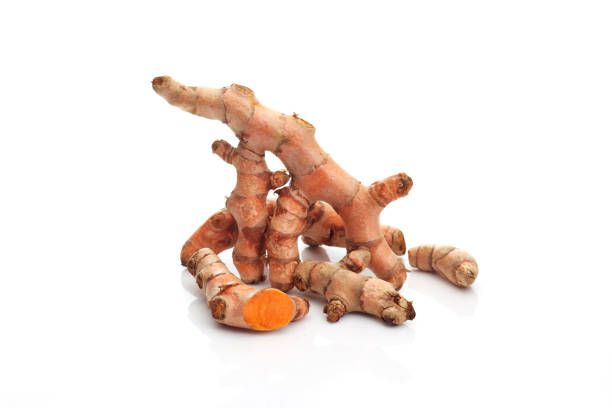 Asian herbs, Close up Fresh Turmeric ,Curcuma longa Linn, rhizome floor reflection isolated on white background, Food concept.