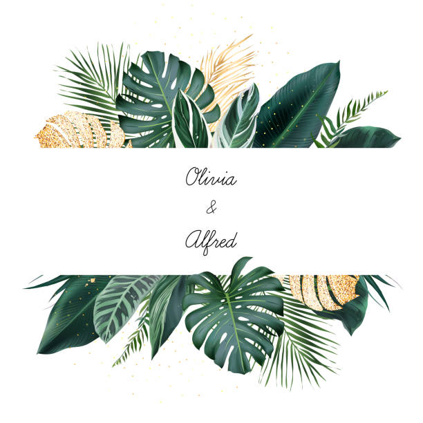 Tropical banner arranged from exotic emerald and golden glitter leaves Tropical banner arranged from exotic emerald and golden glitter leaves. Paradise plants, greenery and palm card. Stylish fashion frame. Wedding design. All leaves are not cut. Isolated and editable greeting card white decoration glitter stock illustrations