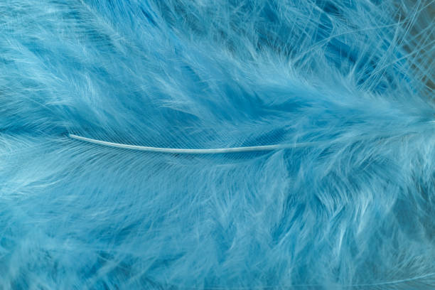 istock Close up Beautiful blue trends bird  feather pattern texture background. Macro photography view. 1195350534