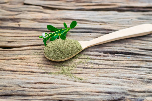 istock Stevia powder in wooden spoon 1195351401