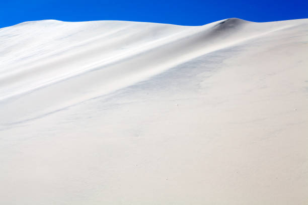 istock Dune in the Puna de Atacama, Argentina 1195360991