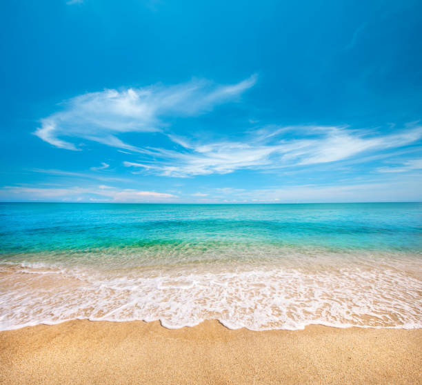 istock beautiful sandy beach and tropical sea 1195362836
