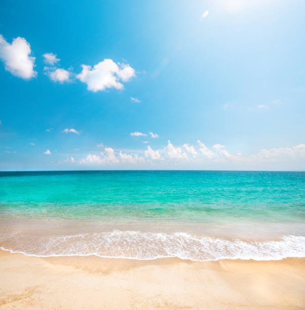istock beautiful sandy beach and tropical sea 1195362977
