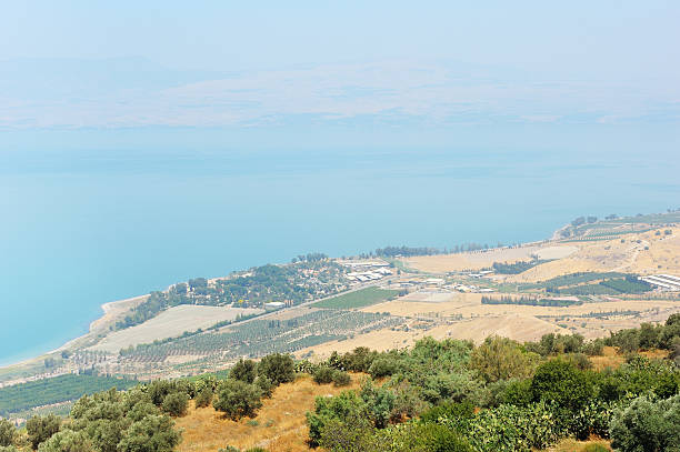 istock North shore of Lake Kinneret 119536620