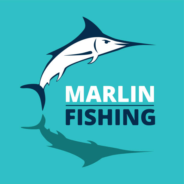 ilustrações de stock, clip art, desenhos animados e ícones de marlin fish logo. swordfish fishing emblem. angry marlina. design elements for fisherman club or tournament. big game hunting. vector illustration. - marlin sailfish nature saltwater fish