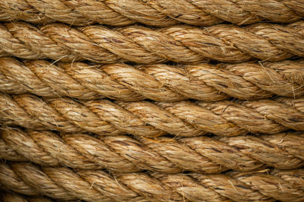 istock Texture of coiled hemp rope. Several layers of thick rope as background 1195372096