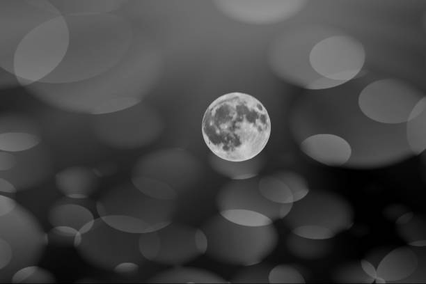 full moon in the night sky among the trees in black and white, atmosphere of mystery and peace. High quality photo