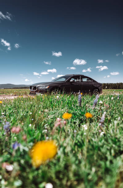 vista do novo cupê volvo s6 t6 estacionado em um prado - bighorn mountains - fotografias e filmes do acervo