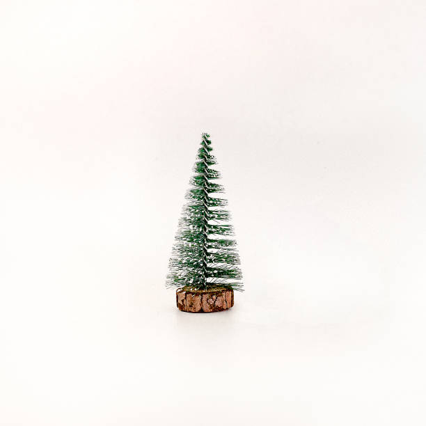 istock Miniature Christmas tree isolated on white background 1195377655