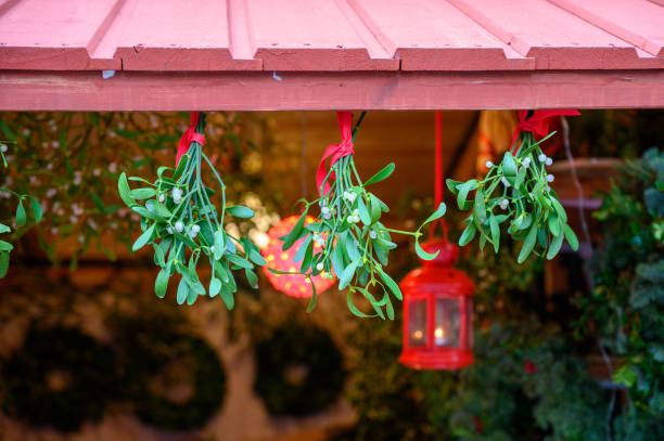 Mistletoe branch with leaves and berries