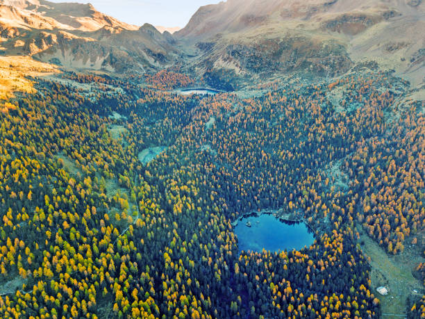 fotografia lotnicza nad val di campo, szwajcaria - graubunden canton obrazy zdjęcia i obrazy z banku zdjęć