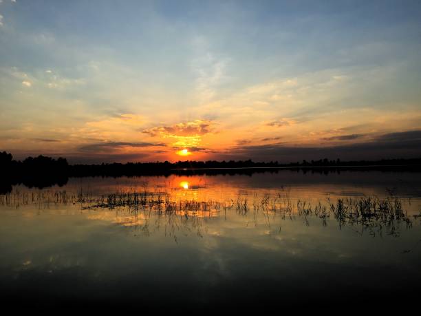 istock Nature beautiful for background and abstract 1195387853