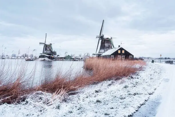 Photo of Windmills on the Zaans Schans in winter located on the river De Zaan