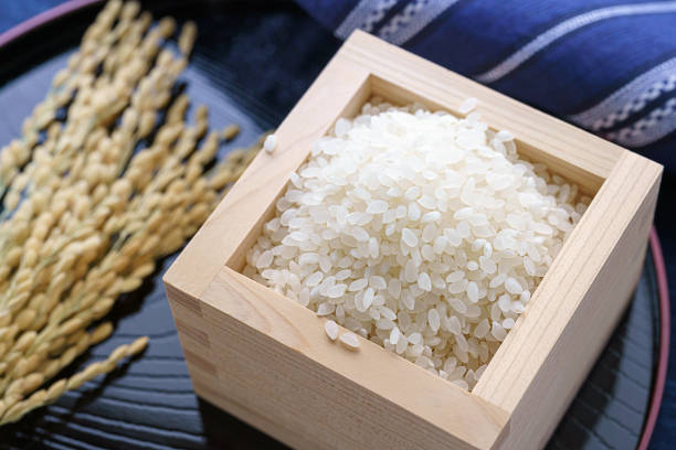 istock Japanese white rice, natural rice grain for background and texture 1195392655
