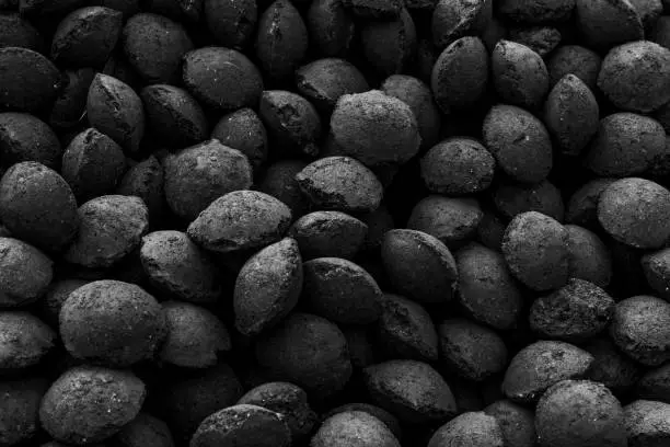 Photo of Charcoal briquettes