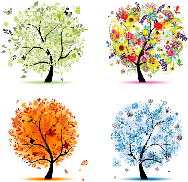 Art trees collection for your design, four seasons vector art illustration