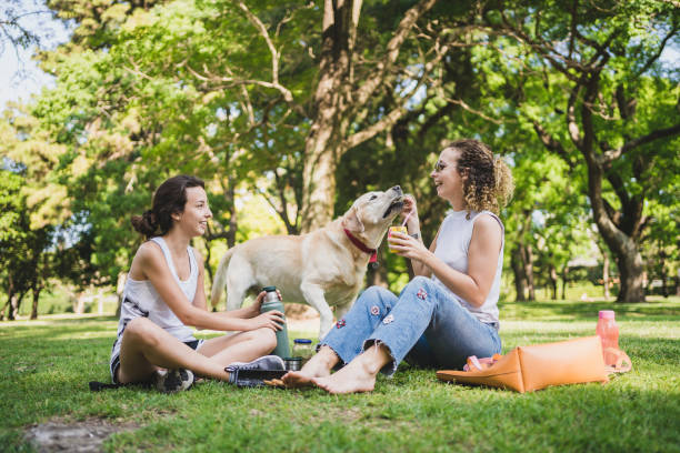 istock Relaxing day with our dog 1195399624