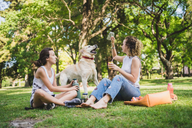istock Relaxing day in nature 1195400205