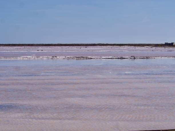 istock Salt marsh Gruissan 1195400713