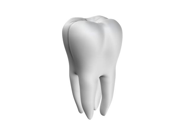 Tooth 3d rendering stock photo