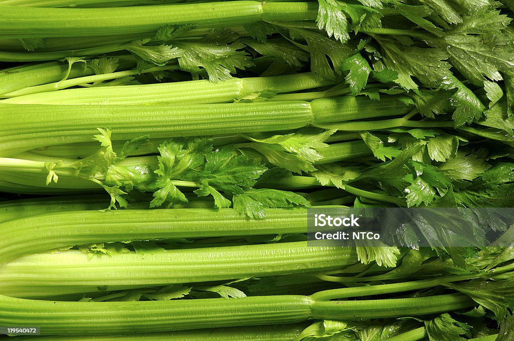 Celery  Celery Stock Photo