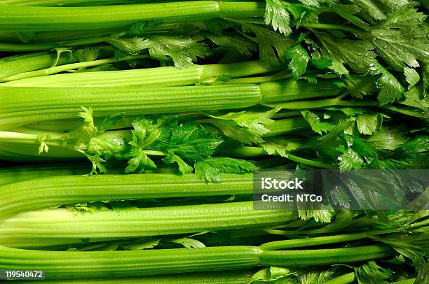 Celery Stock Photo - Download Image Now - Celery, Close-up, Green Color