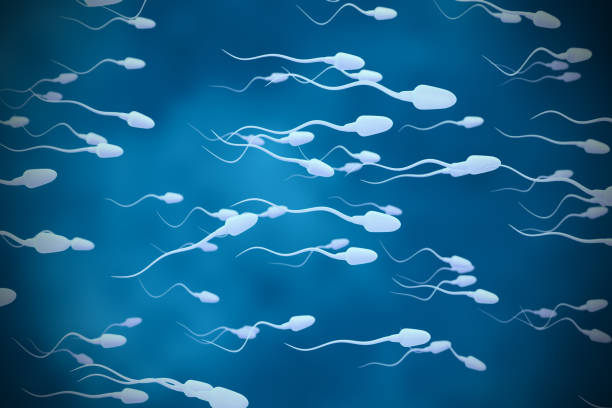sperm cells moving stock photo