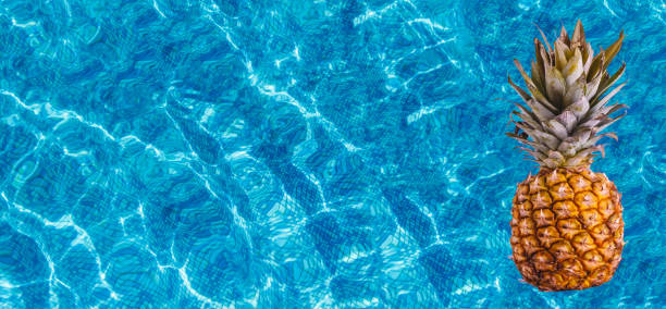 istock Juicy ripe pineapple fruit swims with a wine pool. Top view with copy space 1195406558