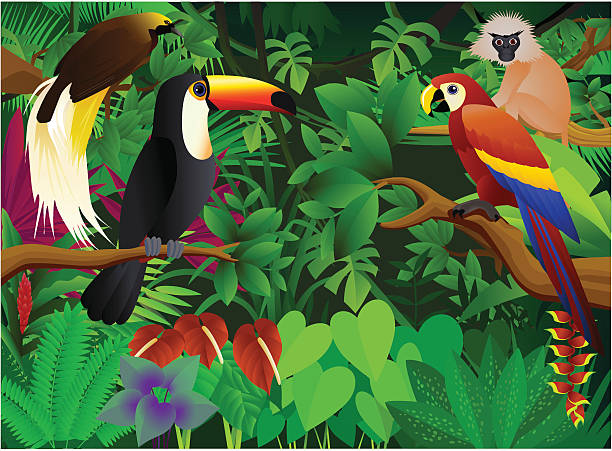 красивый фоне - tropical rainforest illustrations stock illustrations