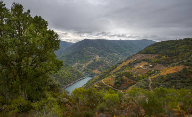 The deep valley of the river Sil The deep valley of the river Sil with its terraced vineyards in the Ribeira Sacra de Sober meio ambiente stock pictures, royalty-free photos & images