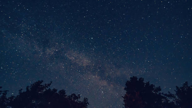 istock Milky way over trees, landscape affect the viewer's imagination, dense virgin forests on the slopes contribute to conceal the traces of civilization 1195409731