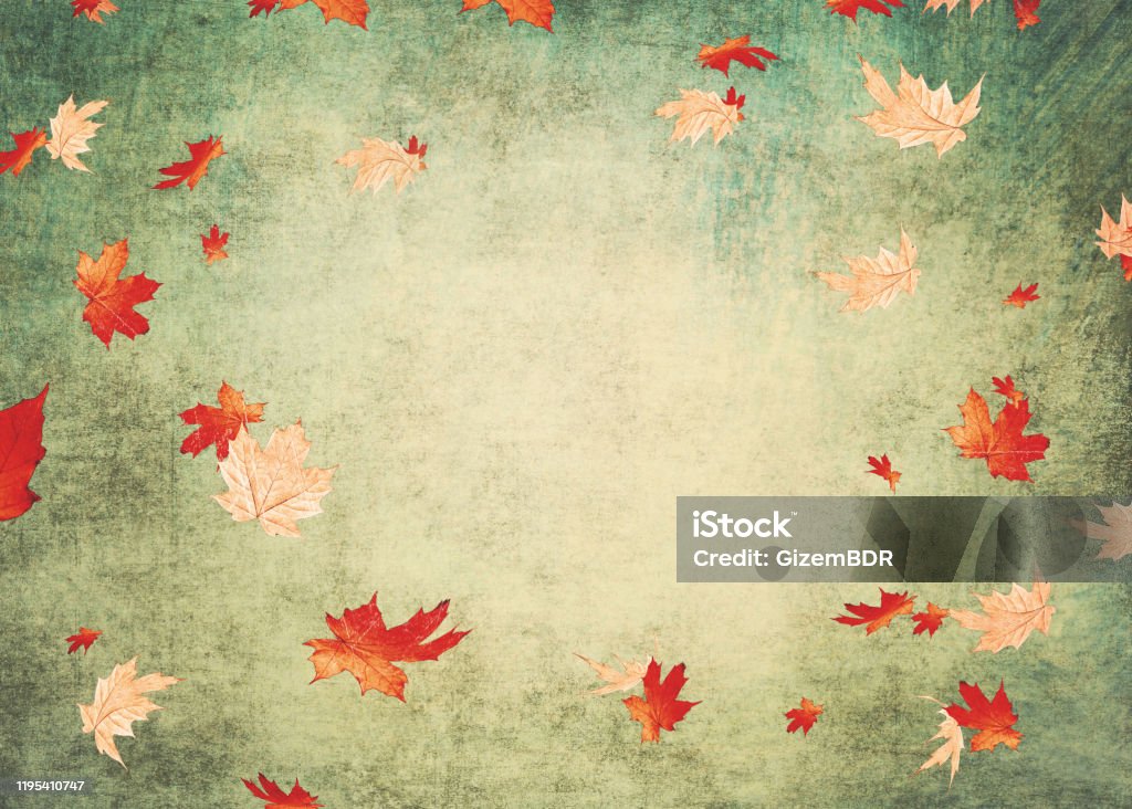 colorful autimn leaves on green background Backgrounds Stock Photo