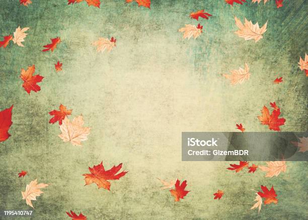 Colorful Autimn Leaves On Green Background Stock Photo - Download Image Now - Backgrounds, Beauty, Close-up