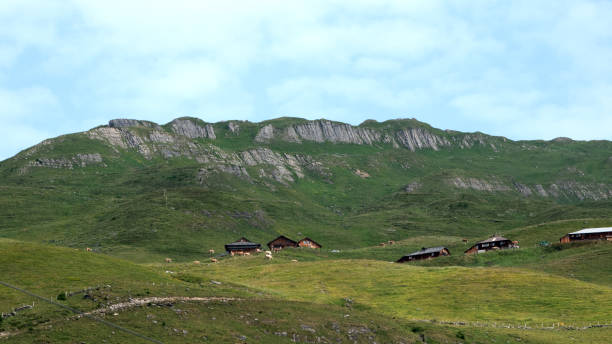 istock High alpine landscape in midsummer 1195411270