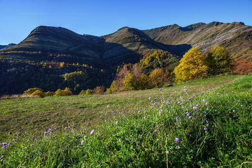 Meadow and forest under de Courel range, Folgoso de courel, lugo, Galicia