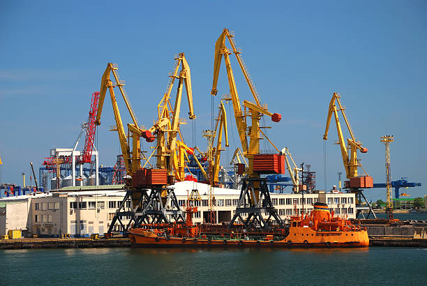istock The trading seaport with cranes, cargoes and ship 119541157