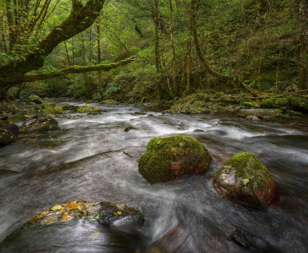 istock Fantasy look in a river of Elvish aspect 1195418216