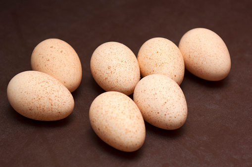 Turkey eggs