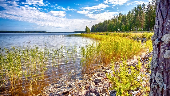 Lakeland scenery in Finland in Savonia