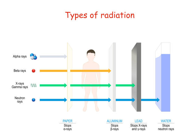 Types of radiation Types of radiation. penetrating power through paper, human, aluminum, lead, and water. Alpha, beta, gamma, x-rays and neutrons. vector illustration. atom nuclear energy physics science stock illustrations