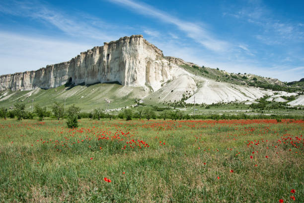 istock Poppy field. Beautiful landscape. 1195425520