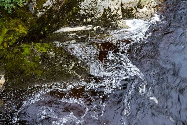 istock Creek thru the highlands 1195426486