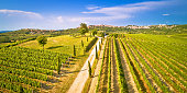 Istrian vineyard region aerial view. Town of Buje green landscape panorama