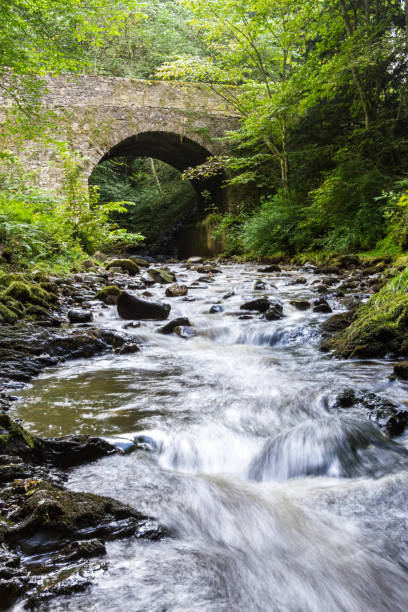 istock Creek thru the highlands 1195427550