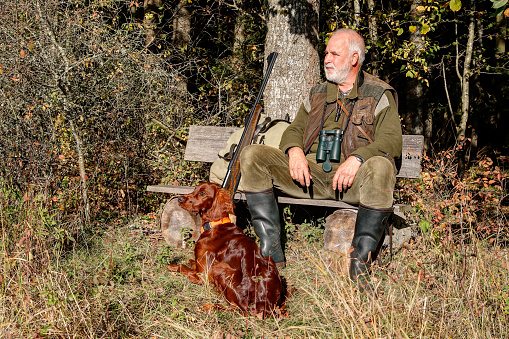On a sunny October afternoon an old, experienced hunter sits with his beautiful Irish Setter hunting dog at the edge of the forest and looks out into his hunting area.