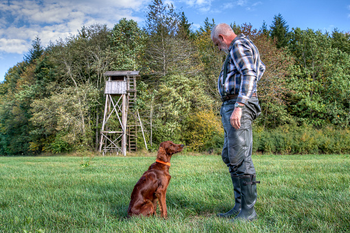A hunter in training with his Irish Setter hunting dog in front of his Hunting Pulpit in the hunting ground.