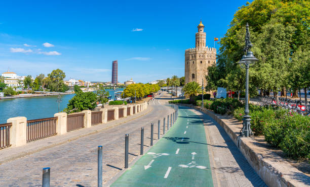 vista panorámica en sevilla con la famosa torre del oro y el río guadalquivir. andalucía, españa. - seville sevilla bridge arch fotografías e imágenes de stock